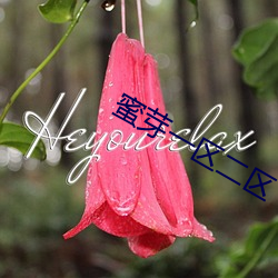 蜜芽(yá)一区二区(qū)