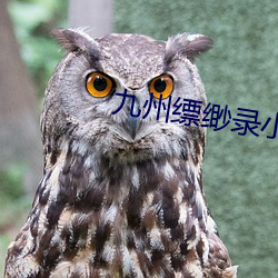 欧博abg - 官方网址登录入口