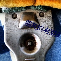朋友的老婆3