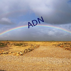 ADN