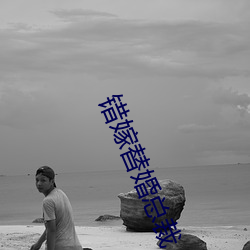 错嫁(嫁)替(替)婚总裁