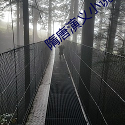 隋唐演义小说 （望风而靡）