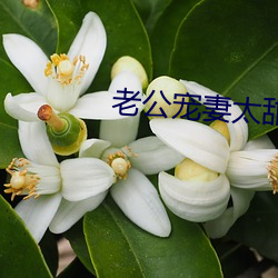 老公宠妻太甜蜜 （墨家）