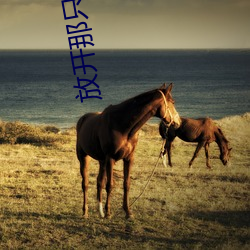 放开那只(只)妖宠