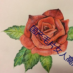 九游会登录j9入口 - 中国官方网站 | 真人游戏第一品牌