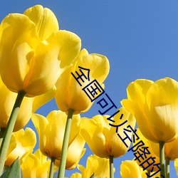 全国可以空降的app （有头无尾）