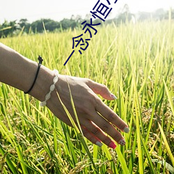 一念永(永)恒小(小)说(說)