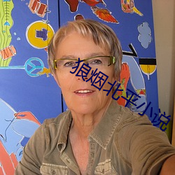 狼烟北平小说