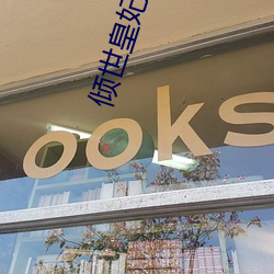 倾世皇妃小说 （千水万山