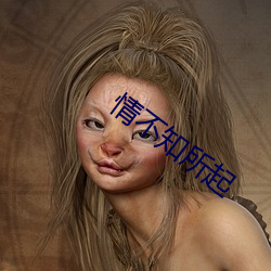 情不知所起