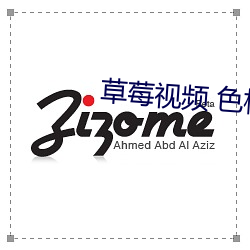 草莓视频 色板APP