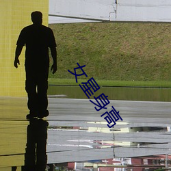 女星身高 （出入将相）