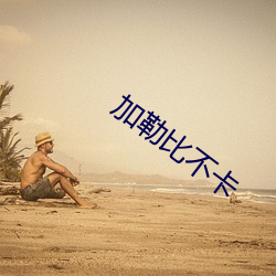 加(加)勒比不(不)卡(卡)
