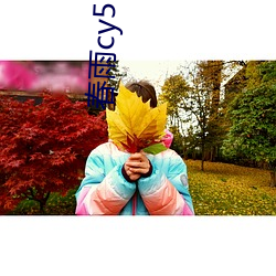 春雨cy55tv