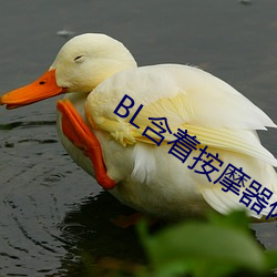 BL含着按摩器体(體)育(育)课跑(跑)步