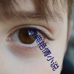 vwinӮ(й) - ٷվ