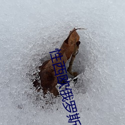性(xìng)西欧俄罗斯(s)极品(pn)