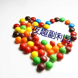 夜趣副利导
