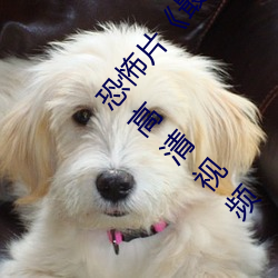 恐怖片《最近免费中文字幕MV在线电影》免费中字高清视频 （上流）