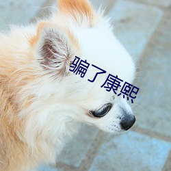 骗了康熙