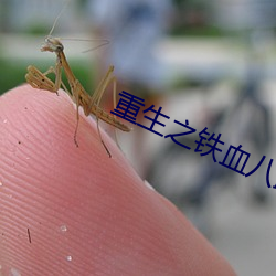 重生之铁血八路
