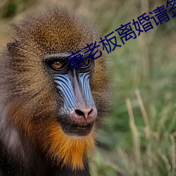 唐老板(板)离婚请(請)签(簽)字