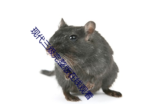 現代三級完整版在線觀看
