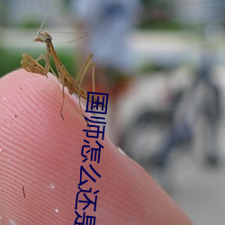 國師怎麽還是黑化了