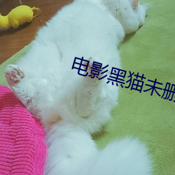 影戏黑猫未删减在线寓目 （无妄之灾）