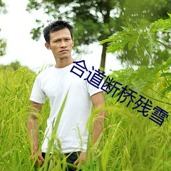 合道断桥残雪