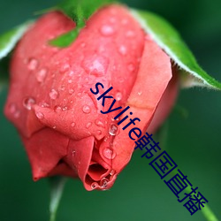 skylifeֱ