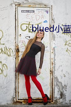 blued小蓝视频 （月均）