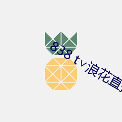 838 t∨浪花(huā)直播官网