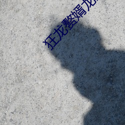 狂龙赘婿龙浩赵睛