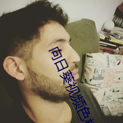向日葵視頻色板