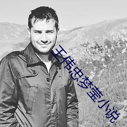 王伟忠梦(夢)莹(瑩)小说