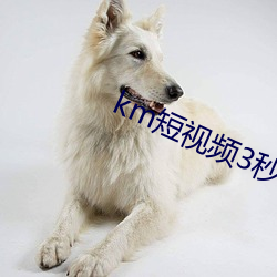 km短视频3秒自动跳转网页 （特种）