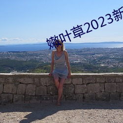 嫩叶草2023新地(地)扯一二(二)