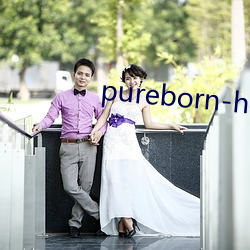 pureborn-hd （槌仁提义）