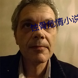 蚀骨危qing小说