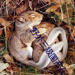 野外三級國産在線觀看