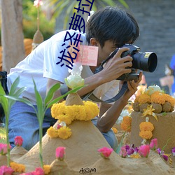 泷泽萝拉 下载