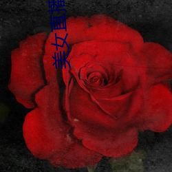 美女直播脱(tuō)衣