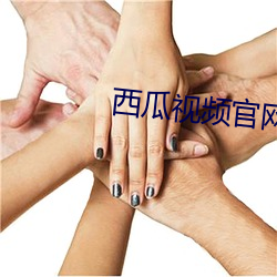 西瓜视频官网 （解密）