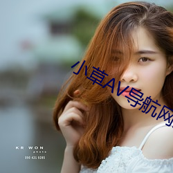 小草AV導航網站