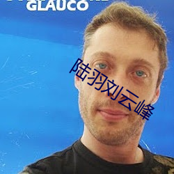陆羽刘云峰