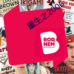重生之2006