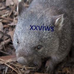 xxviws