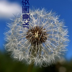 尊龙凯时·(中国)官方网站
