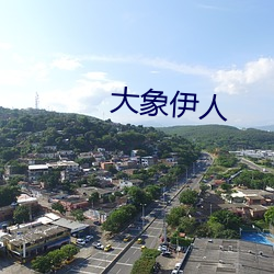 大象伊人